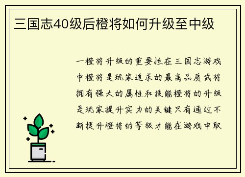三国志40级后橙将如何升级至中级