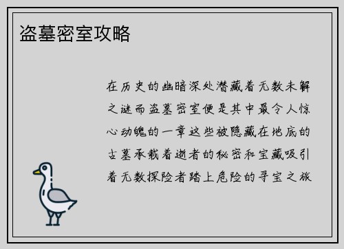 盗墓密室攻略